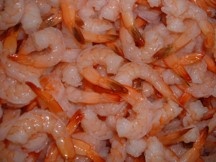 Shrimp